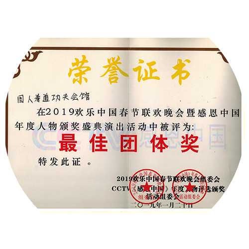 2019年欢乐中国春节联欢晚会暨感恩中国年度人物颁奖盛典演出活动中被评为“最佳团体奖”